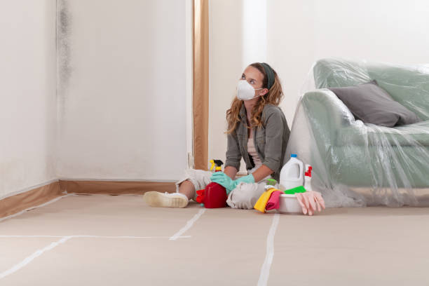 Reliable Bathroom Mold Removal contractor in Port Jefferson Station, NY by Mold Remediation HQ
